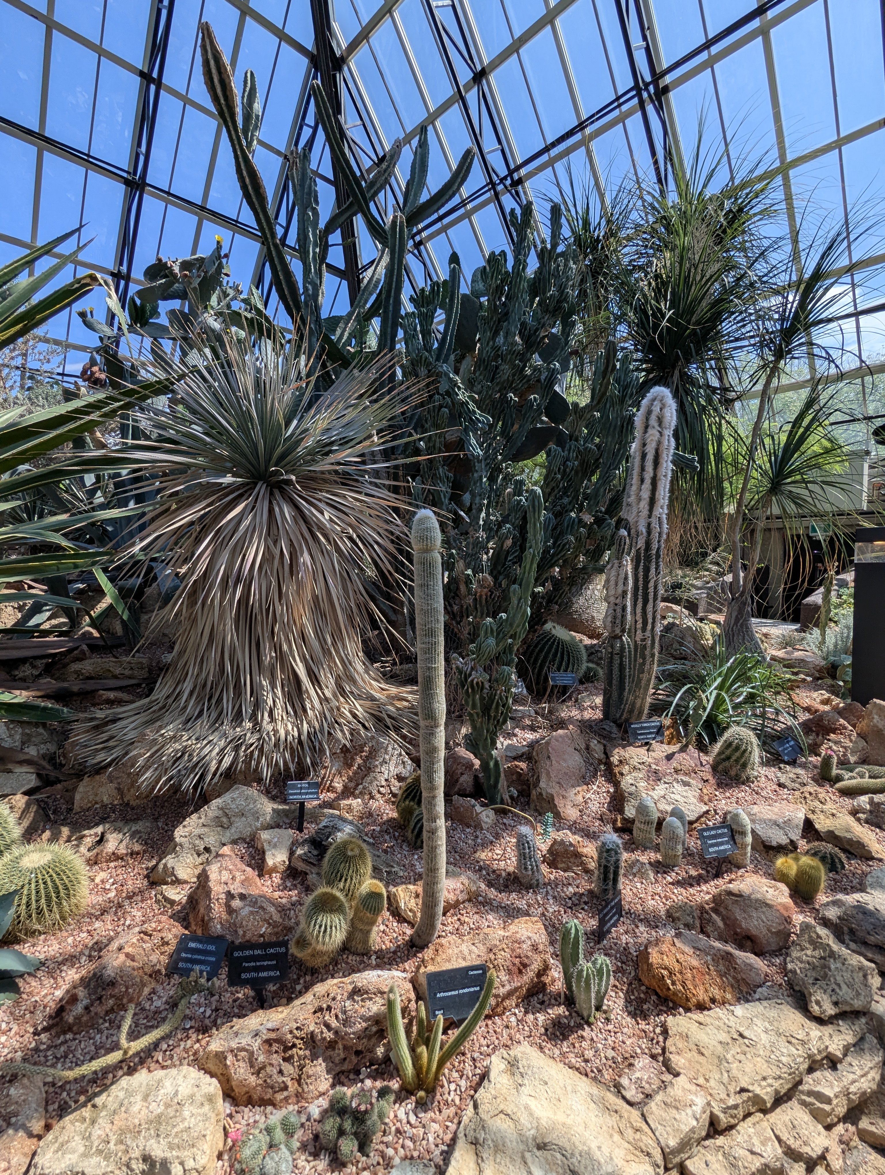 Birthday Trip to Canada, Edmonton, Pyramids, Muttart Observatory